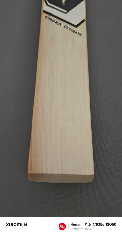 English Willow Bats - Precision Crafted. Power Delivered.