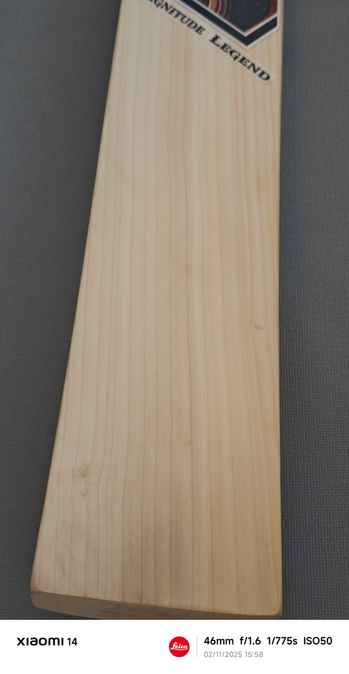 English Willow Bats - Precision Crafted. Power Delivered.