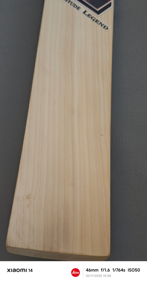 English Willow Bats - Precision Crafted. Power Delivered.