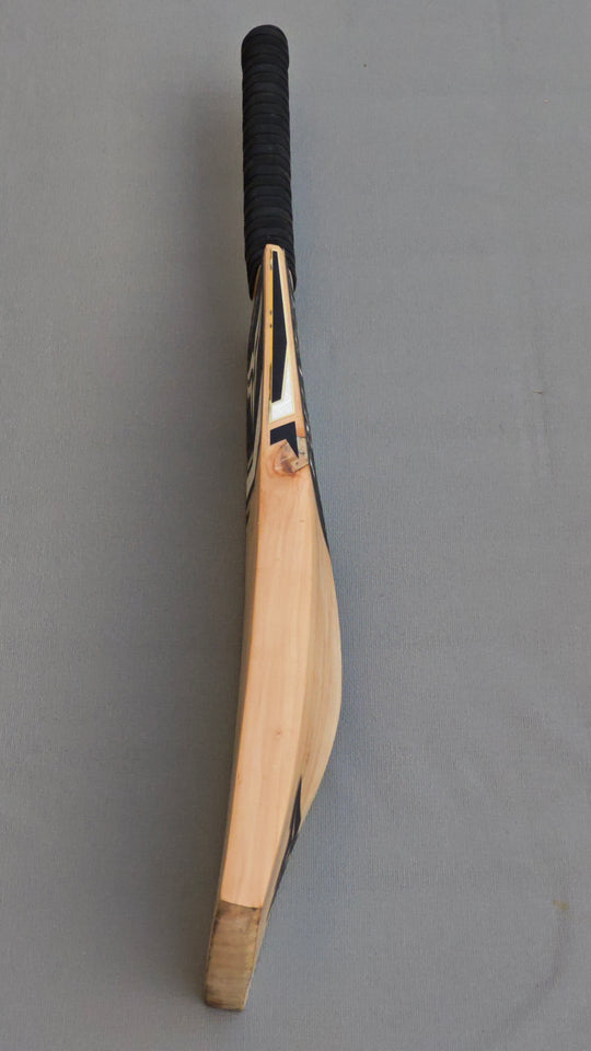 English Willow Bats - Precision Crafted. Power Delivered.