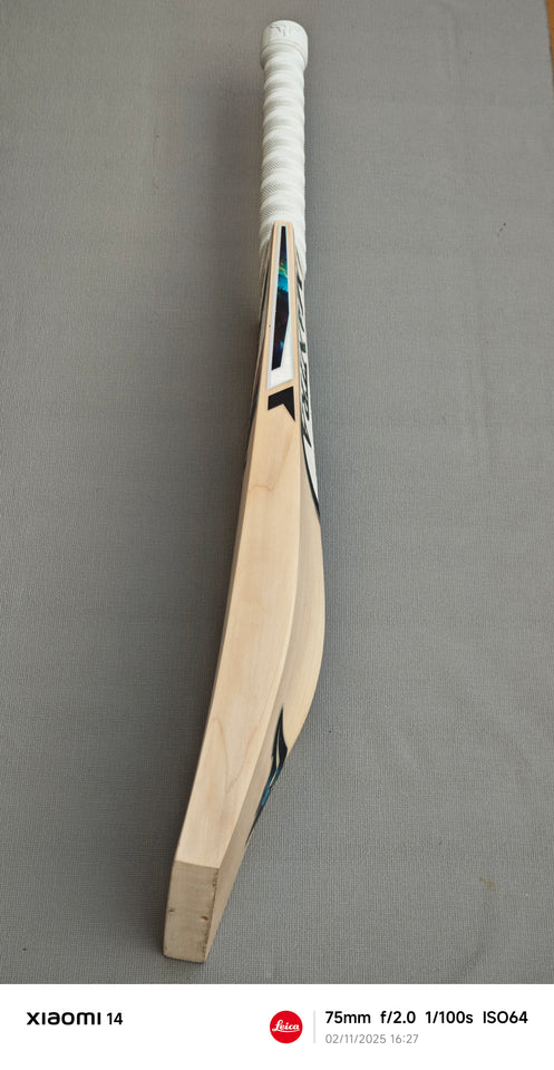 English Willow Bats - Precision Crafted. Power Delivered.