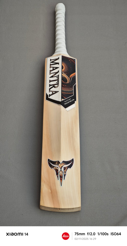 English Willow Bats - Precision Crafted. Power Delivered.