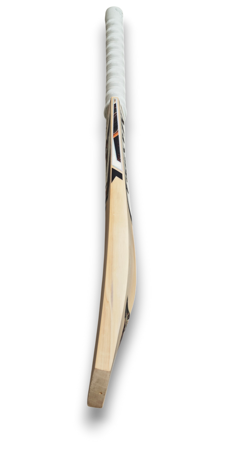 Magnitude Maxx