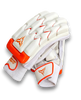 Raptor Batting Gloves