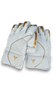 Wicket Keeping Gloves - Maximum Protection. Total Control.