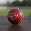 create a picture of a cricket leather ball with the logo of the company 